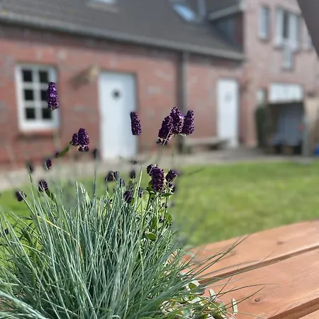 Jutta Vom Kutter Wulfen auf Fehmarn