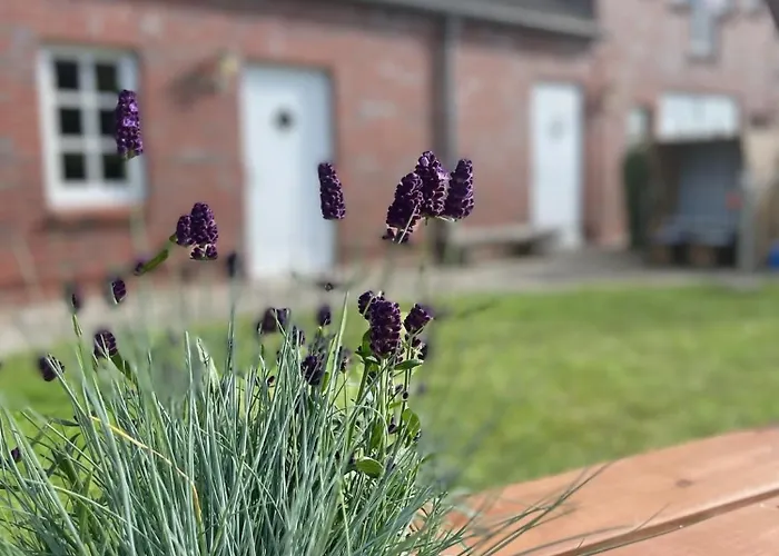 Jutta Vom Kutter Wulfen auf Fehmarn